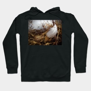 Rain Drops on Duck Feather Hoodie